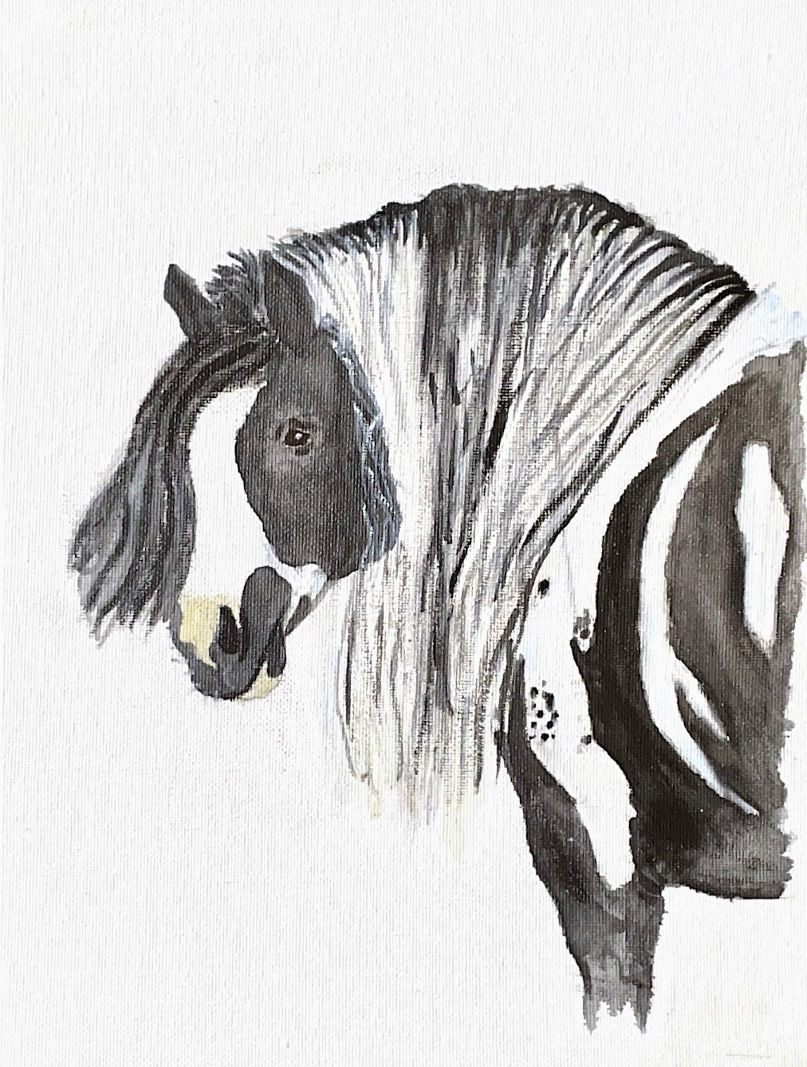 Gypsy vanner horse, painting