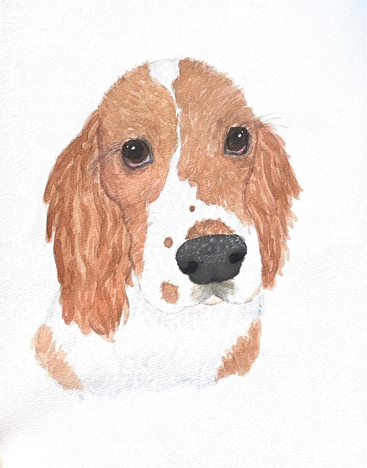 custom pet/animal painting