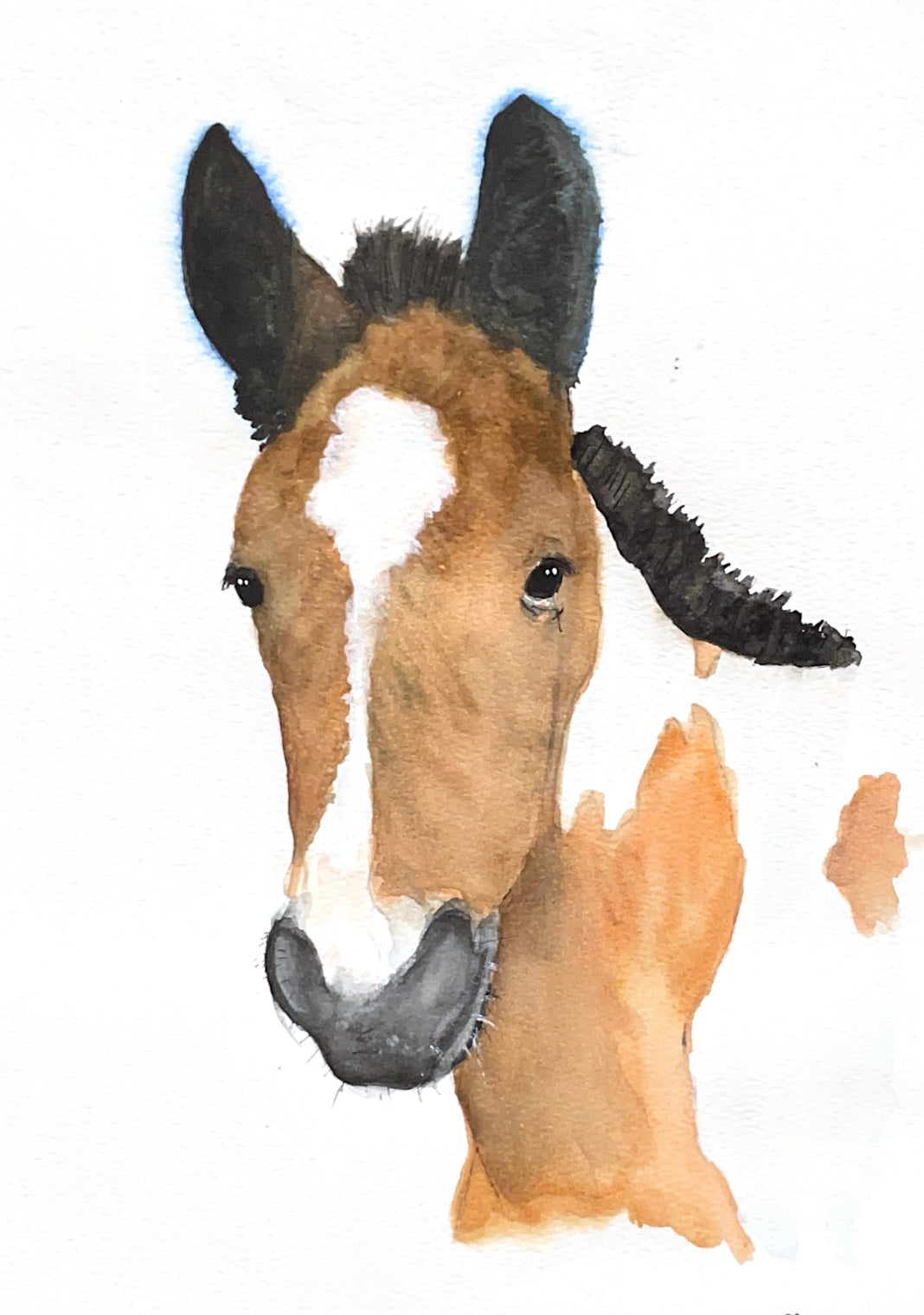 Watercolor paint foal painting