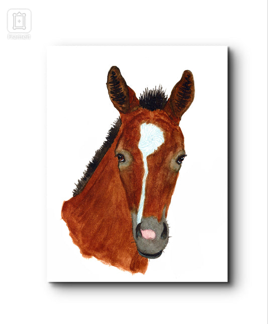 Whispers of the Bay Foal print