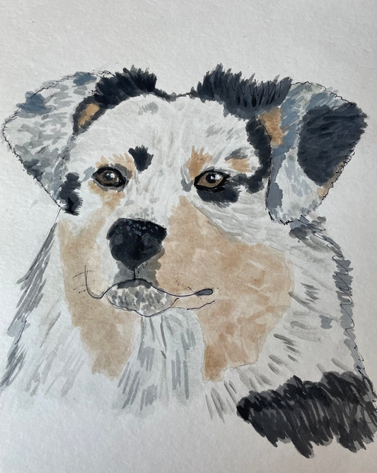 Australian shepherd puppy painting