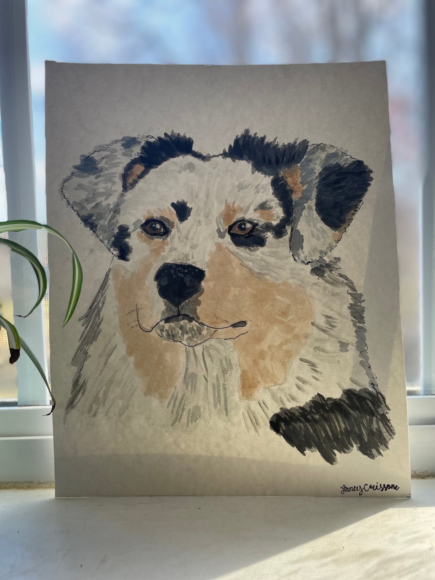 Australian shepherd puppy painting