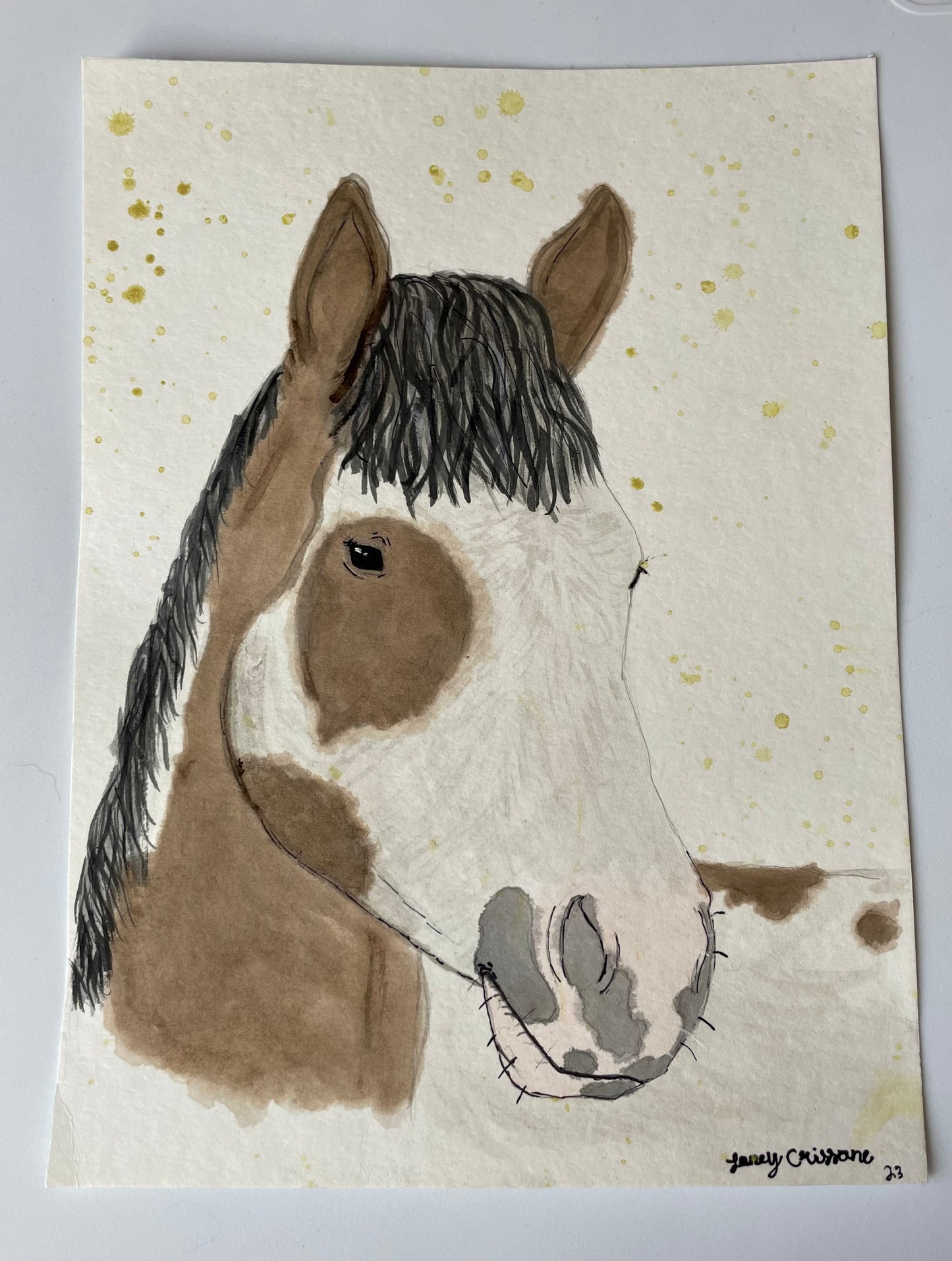 paint horse