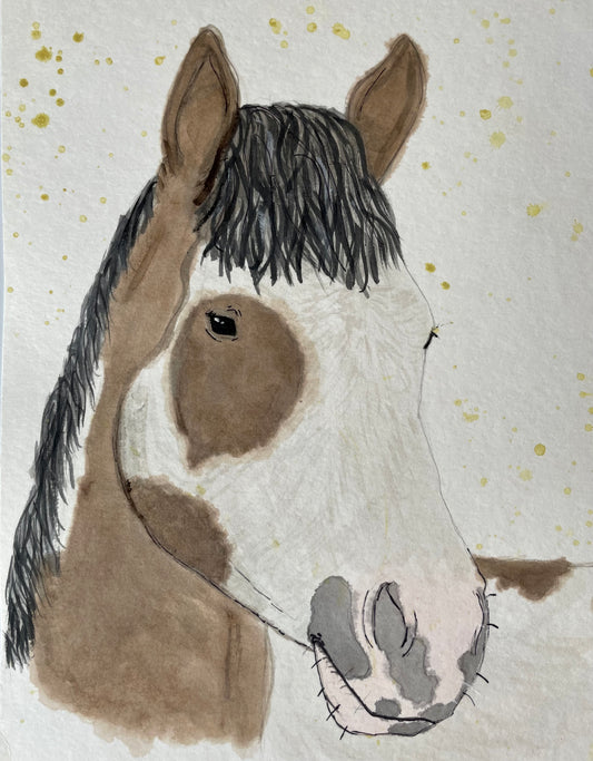 paint horse