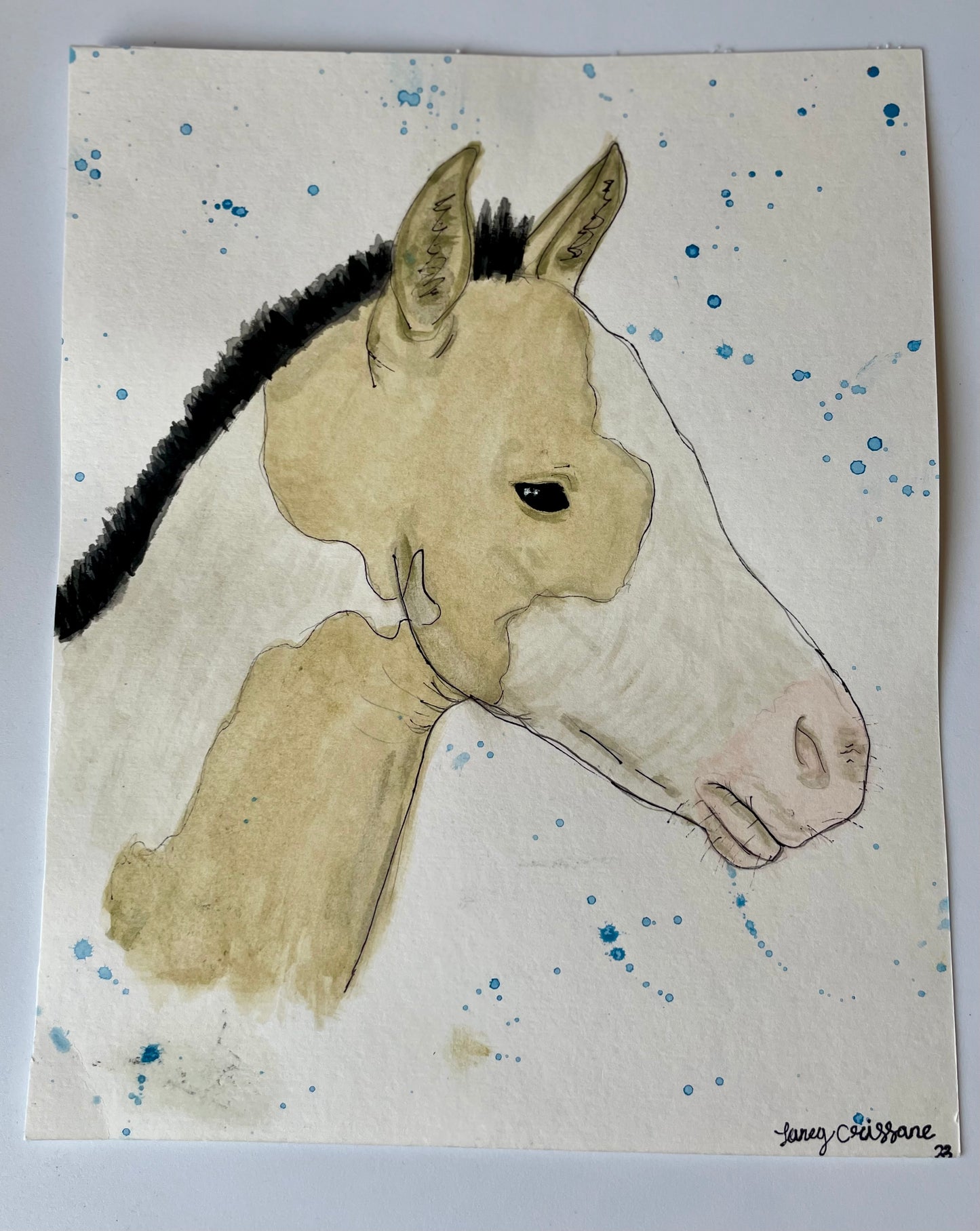 watercolor paint foal