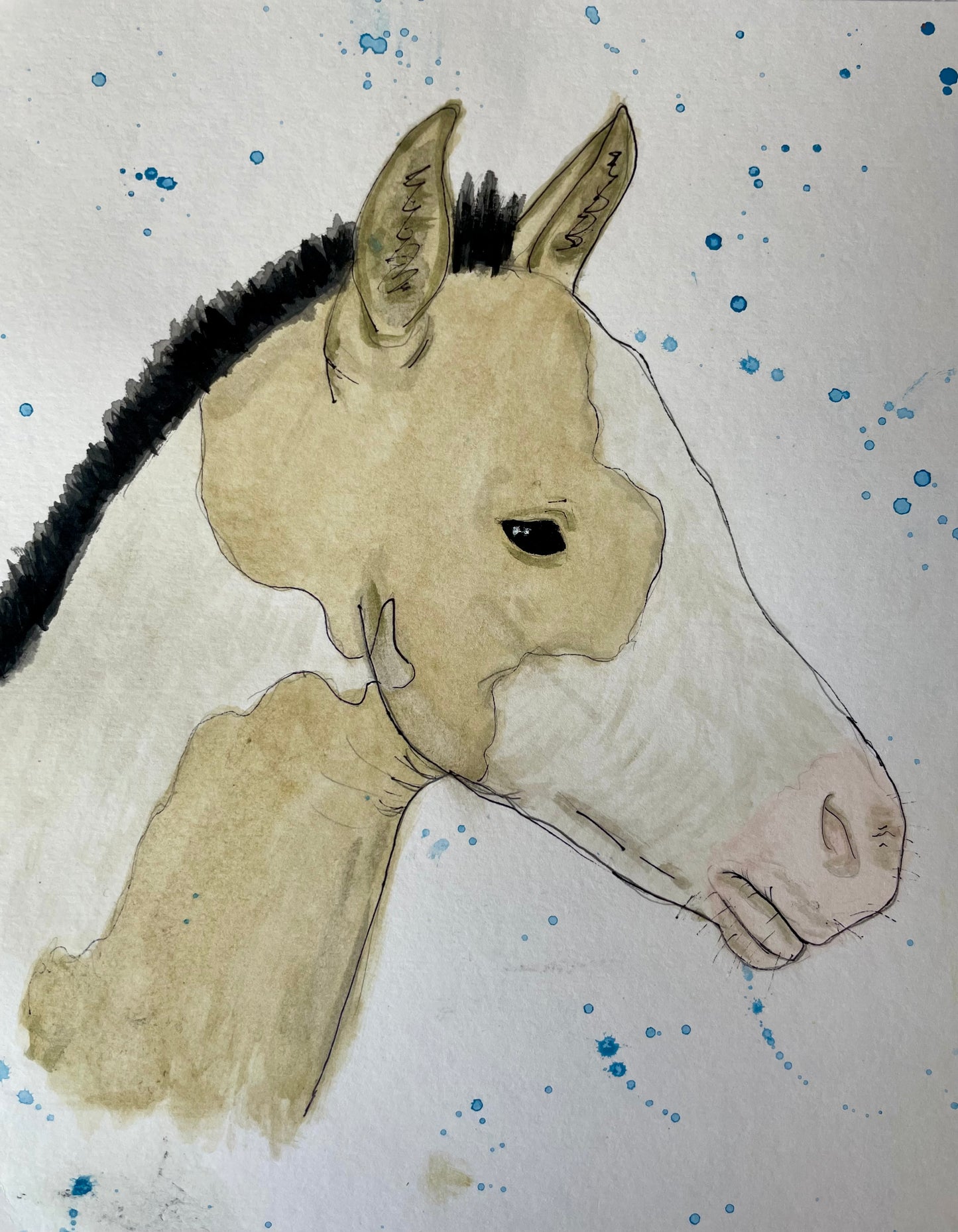 watercolor paint foal