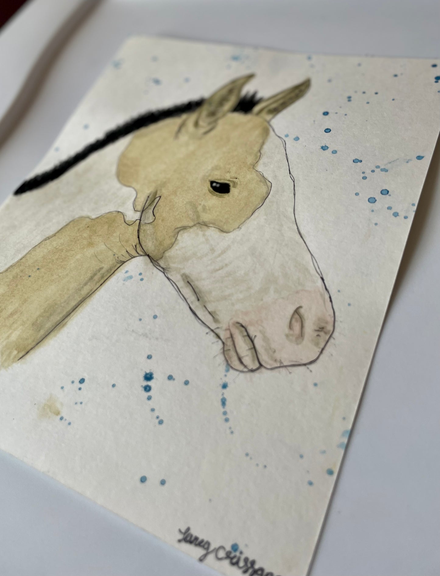 watercolor paint foal