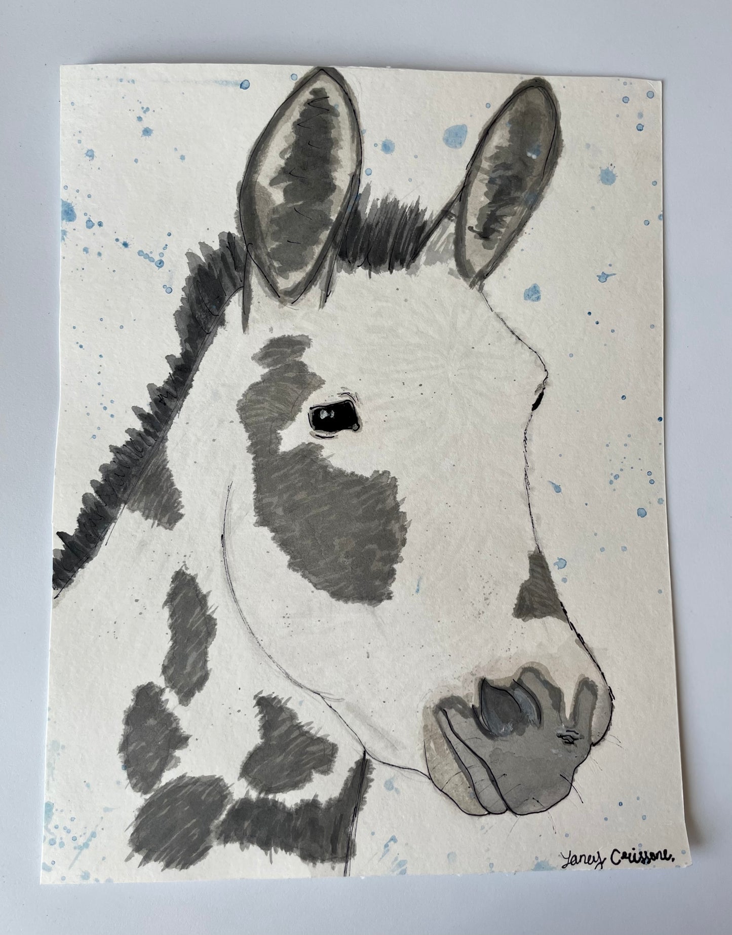 miniature donkey watercolor painting