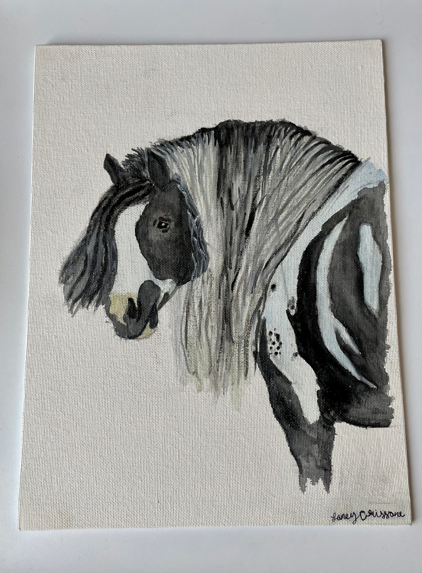 Gypsy vanner horse, painting