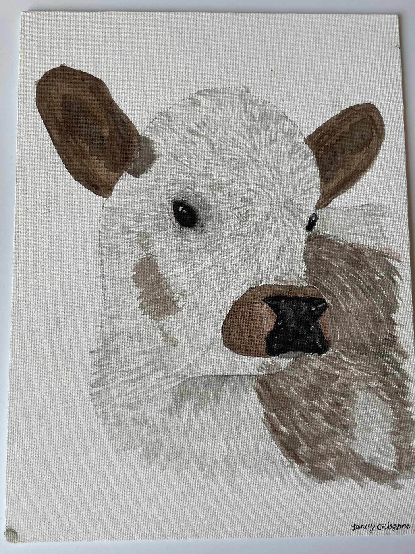 watercolor calf