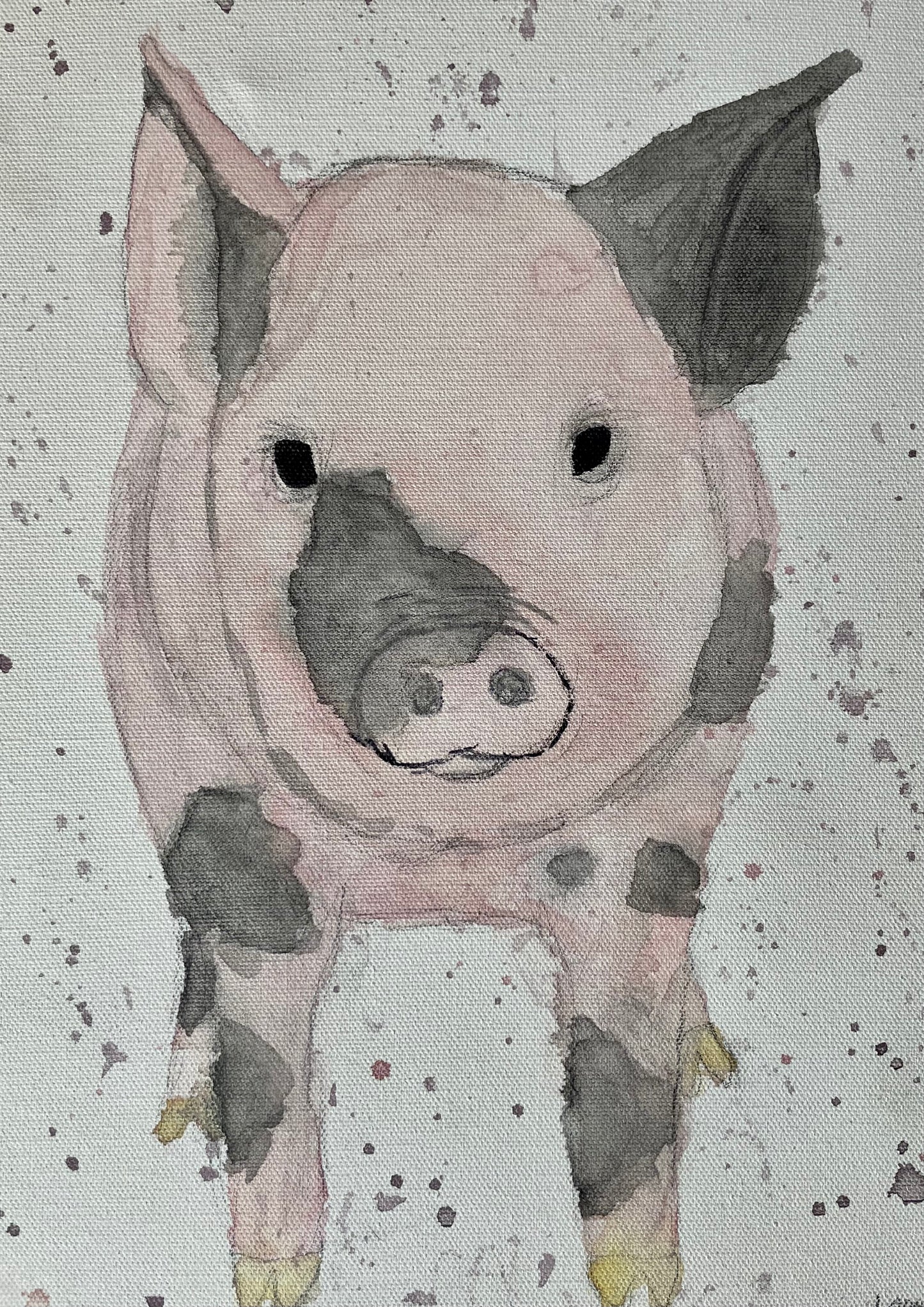 watercolor piglet