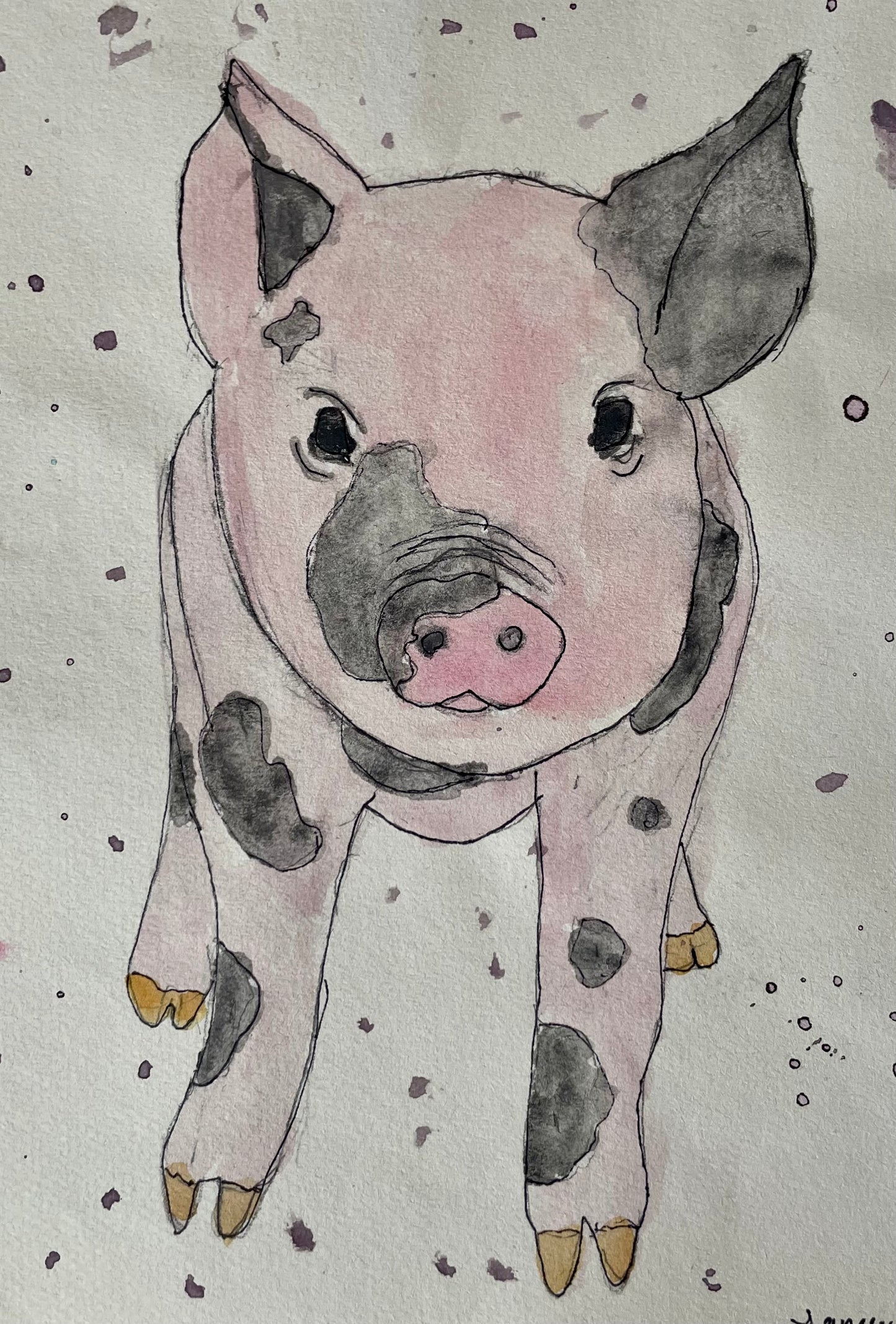 watercolor piglet