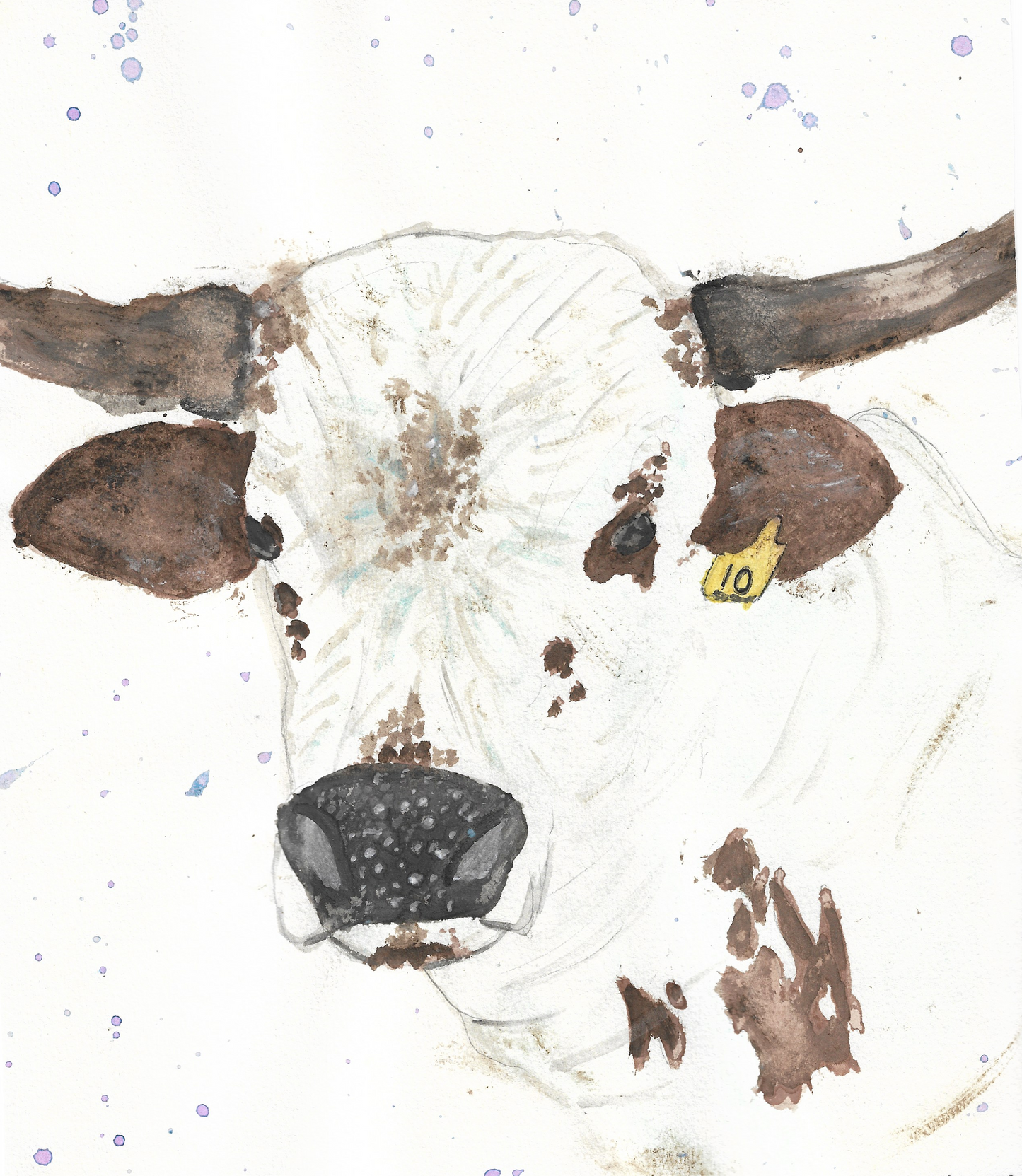 Longhorn cow